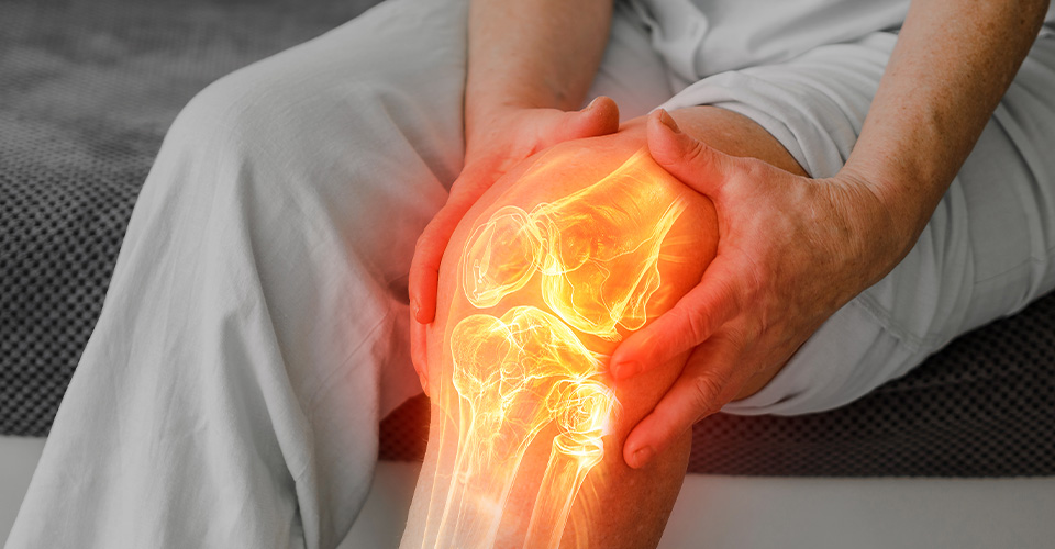 Articulación de la rodilla y extremidad inferior en la práctica fisioterapéutica
